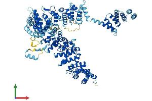AlphaFold protein structure predicition of Human Recombinant UNC45B Protein, UniprotID Q8IWX7