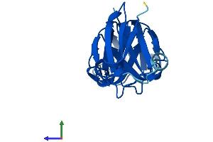 AlphaFold protein structure predicition of Mouse Recombinant Crygf Protein, UniprotID Q9CXV3 (CRYGF Protein (AA 1-174) (His tag))