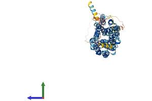 AlphaFold protein structure predicition of Human Recombinant SLC18A2 Protein, UniprotID Q05940