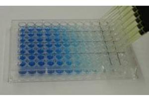 Immunochemicals produces a wide variety of buffers and substrates for use in ELISAs. (TMB ELISA Peroxidase Substrate)