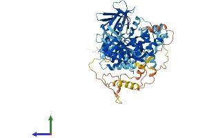 AlphaFold protein structure predicition of Mouse Recombinant Fermt1 Protein, UniprotID P59113