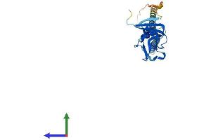 AlphaFold protein structure predicition of Mouse Recombinant Klra1 Protein, UniprotID P20937 (KLRA1 Protein (AA 1-262) (His tag))