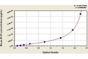 MGP ELISA Kit