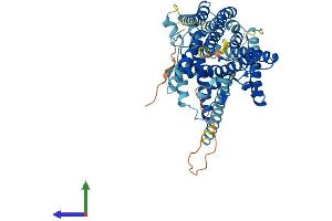 Protein Structure (PS) image for Sterol O-Acyltransferase 2 (SOAT2) (AA 1-525) protein (His tag) (ABIN7562688)