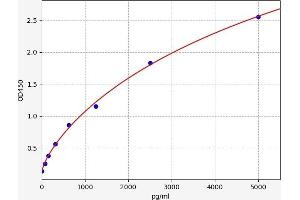 Typical standard curve (NEGR1 ELISA Kit)