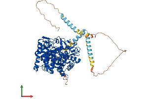AlphaFold protein structure predicition of Human Recombinant MAN1A1 Protein, UniprotID P33908