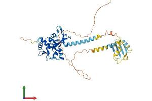 Protein Structure (PS) image for Sjogren Syndrome Antigen B (SSB) (AA 1-415) protein (His tag) (ABIN7563127)