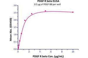 Immobilized Unconjugated Human PDGF-BB, His,Avitag (ABIN2870686,ABIN2870687,ABIN6810007) at 5 μg/mL (100 μL/well) can bind Human PDGF R beta, Fc Tag (ABIN2181628,ABIN2181627) with a linear range of 0. (PDGFB Protein (AA 82-190) (His tag,AVI tag))