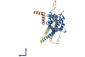 AlphaFold protein structure predicition of Human Recombinant RXFP3 Protein, UniprotID Q9NSD7