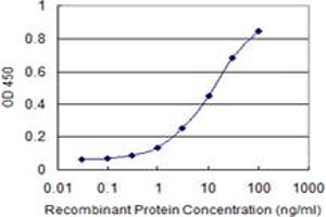 Detection limit for recombinant GST tagged RING1 is 0. (RING1 antibody  (AA 81-170))
