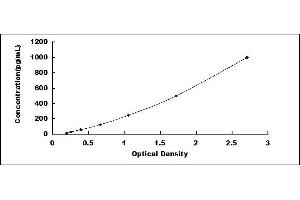 Typical standard curve (CD40 Ligand ELISA Kit)