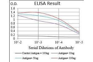 Black line: Control Antigen (100 ng), Purple line: Antigen(10 ng), Blue line: Antigen (50 ng), Red line: Antigen (100 ng), (PTP4A2 antibody  (AA 58-162))