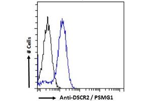 ABIN570956 Flow cytometric analysis of paraformaldehyde fixed Jurkat cells (blue line), permeabilized with 0. (PSMG1 antibody  (C-Term))