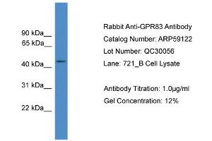WB Suggested Anti-GPR83  Antibody Titration: 0. (GPR83 antibody  (C-Term))