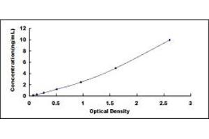 Typical standard curve (PTAFR ELISA Kit)