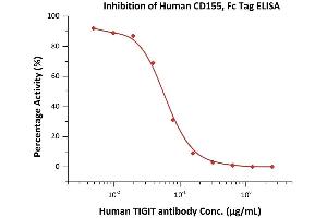 Serial dilutions of Human TIGIT Neutralizing antibody were added into Human CD155, Fc Tag (ABIN2870620,ABIN2870621): Biotinylated Human TIGIT, Fc,Avitag (ABIN4949039,ABIN4949040) binding reactions. (Poliovirus Receptor Protein (PVR) (AA 21-343) (Fc Tag))