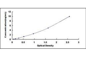 Typical standard curve (TAS2R38 ELISA Kit)