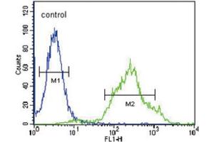 Flow Cytometric analysis of ZDHHC21 Antibody (N-term) 293 cells (right histogram) compared to a negative control cell (left histogram). (ZDHHC21 antibody  (AA 59-87))