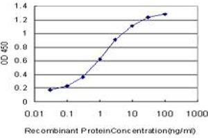 Detection limit for recombinant GST tagged LHX4 is approximately 0. (LHX4 antibody  (AA 208-306))