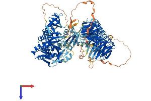 AlphaFold protein structure predicition of Mouse Recombinant Aasdh Protein, UniprotID Q80WC9 (AASDH Protein (AA 1-1100) (His tag))