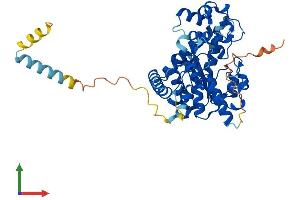 AlphaFold protein structure predicition of Mouse Recombinant Gal3st3 Protein, UniprotID P61315
