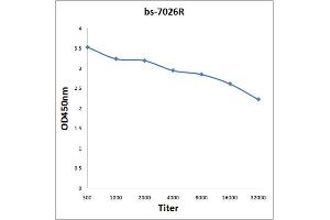 Antigen: 0. (HSPE1 antibody  (AA 51-102))