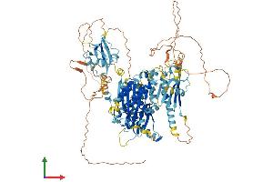 AlphaFold protein structure predicition of Human Recombinant INTU Protein, UniprotID Q9ULD6