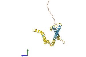 Protein Structure (PS) image for Translocase of Inner Mitochondrial Membrane 23 Homolog (Yeast) (TIMM23) (AA 1-209) protein (His tag) (ABIN7544439)