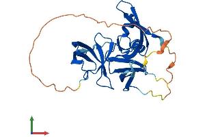 AlphaFold protein structure predicition of Mouse Recombinant Spin1 Protein, UniprotID Q61142 (Spindlin 1 Protein (SPIN1) (AA 1-262) (His tag))