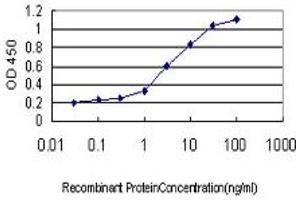 Detection limit for recombinant GST tagged APOL3 is approximately 0. (APOL3 antibody  (AA 240-336))