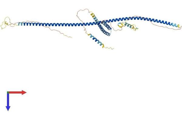 CEP57 Protein (AA 1-500) (His tag)