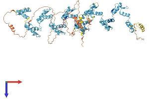 Protein Structure (PS) image for Zinc Finger Protein 347 (ZNF347) (AA 1-839) protein (His tag) (ABIN7545266)