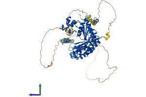 AlphaFold protein structure predicition of Mouse Recombinant Polh Protein, UniprotID Q9JJN0 (POLH Protein (AA 1-694) (His tag))