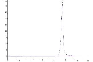 Size-exclusion chromatography-High Pressure Liquid Chromatography (SEC-HPLC) image for UL16 Binding Protein 2 (ULBP2) (AA 26-217) protein (His-Avi Tag) (ABIN7275815)