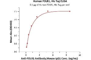 Immobilized Human FOLR1, His Tag (ABIN6951041,ABIN6952269) at 1 μg/mL (100 μL/well) can bind A Antibody,Mouse IgG1 with a linear range of 0. (FOLR1 Protein (AA 25-233) (His tag))