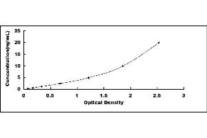 SMAD, Mothers Against DPP Homolog 5 (SMAD5) ELISA Kit