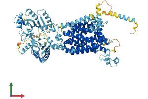 AlphaFold protein structure predicition of Mouse Recombinant Ptchd4 Protein, UniprotID B9EKX1 (PTCHD4 Protein (AA 1-904) (His tag))