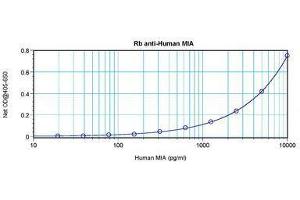 Image no. 4 for anti-Melanoma Inhibitory Activity (MIA) antibody (ABIN464852) (MIA antibody)