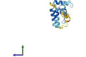 AlphaFold protein structure predicition of Human Recombinant PEA15 Protein, UniprotID Q15121 (PEA15 Protein (AA 1-130) (His tag))