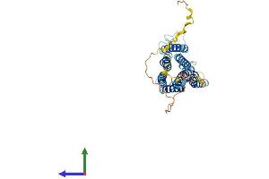 AlphaFold protein structure predicition of Mouse Recombinant Gprc5a Protein, UniprotID Q8BHL4