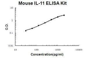 Mouse IL-11 PicoKine ELISA Kit standard curve (IL-11 ELISA Kit)