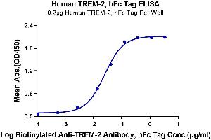 Immobilized Human TREM2, hFc Tag at 2 μg/mL (100 μL/Well) on the plate. (TREM2 Protein (AA 19-174) (Fc Tag))