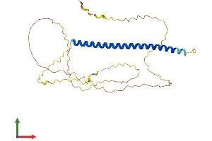 AlphaFold protein structure predicition of Human Recombinant C3orf49 Protein, UniprotID Q96BT1 (C3orf49 Protein (AA 1-292) (His tag))