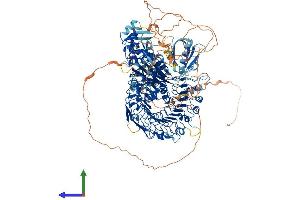 AlphaFold protein structure predicition of Mouse Recombinant Phlpp2 Protein, UniprotID Q8BXA7