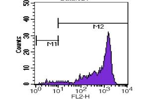Flow Cytometry (FACS) image for anti-CD45RB (CD45RB) antibody (PE) (ABIN2144900) (CD45RB antibody  (PE))