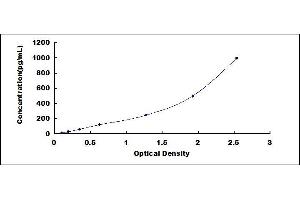 Prokineticin 1 ELISA Kit