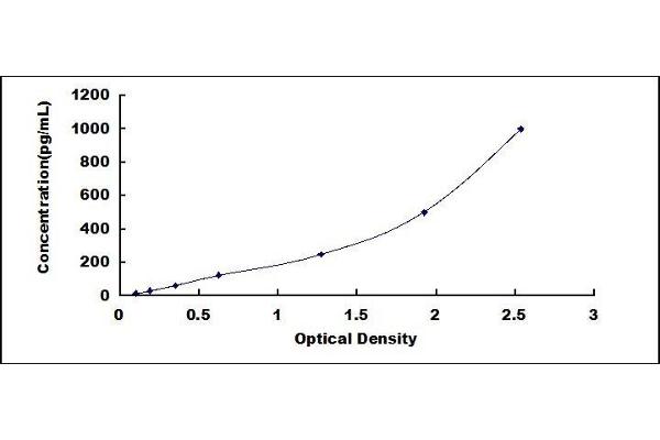 Prokineticin 1 ELISA Kit