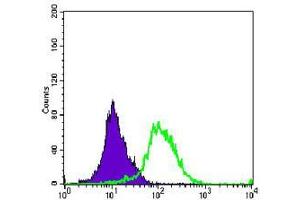 Flow cytometric analysis of K562 cells using AURKA mouse mAb (green) and negative control (purple). (Aurora A antibody)