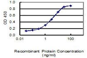 Detection limit for recombinant GST tagged UBXN10 is 0. (UBXN10 antibody  (AA 1-280))