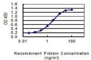 Detection limit for recombinant GST tagged DSCR6 is 0. (RIPPLY3 antibody  (AA 1-190))